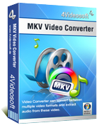 MKV Video Converter